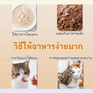 Plendy อาหารเปียกแมว 3 ซอง สุขภาพดี ขนาด 60ก เลือกรสชาติได้ อาหารเปียกแมวแบบซอง