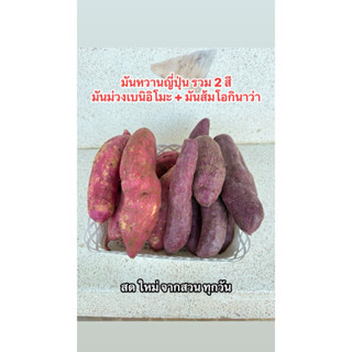 มันญี่ปุ่น รวม 2สี มันม่วง มันส้ม น้ำหนัก 1 kg ได้2สี
