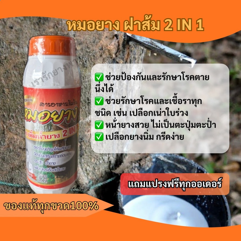 หมอยาง ฝาส้ม 2 IN 1 สูตรเข้มขึ้นเพิ่มเปอร์เซ็นต์น้ำยาง (แถมแปรงฟรีทุกออเดอร์)