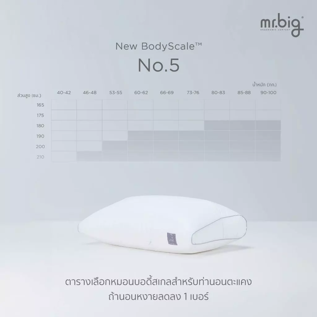 mr.big BodyScale Pillow หมอนหนุน Ergonomic เลือกตามน้ำหนัก/ส่วนสูง/ท่านอน ออกแบบโดยนักกายภาพบำบัดโดยข้อมูลจากสรีระคนไทย thumbnail 8