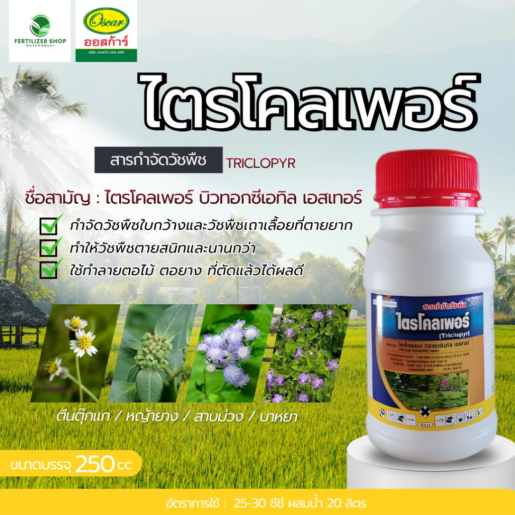 ไตรโคเพอร์ (ขนาด 250cc) ออสก้าร์