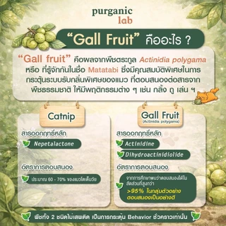 [คลายเครียดแมว] Purganic lab: Happy cat สเปรย์แมวฟิน สเปรย์ผลมาทาทาบิ Gall fruit สารสกัดธรรมชาติ100% ของเล่นแมว