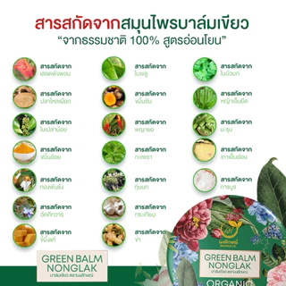 บาล์มเขียวนงลักษณ์ (ของแท้!!) แพตเกจใหม่ 1 แถม 1 คัน ผดผื่น ทาง่ายซึมไว บาล์มทาลดคัน nongluk