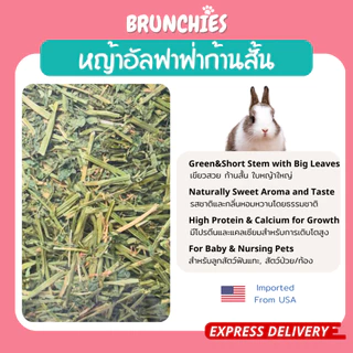 Brunchies หญ้าอัลฟาฟ่าอย่างดีร่อนฝุ่น (1kg) พรีเมียม สับ/ก้านสั้น สำหรับกระต่าย แกสบี้ ชินชิลล่า