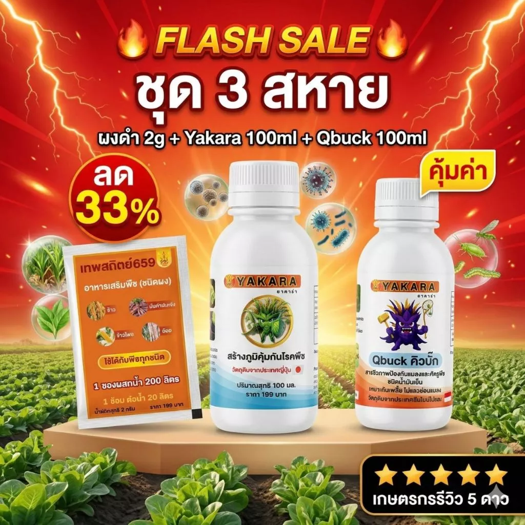 ชุดสามสหาย ผงดำเทพสถิตย์ 2 กรัม + ยาคาร่าวัคซีนพืช 100 มล. + คิวบั๊ก 100 มล. เสริมธา่่ตุอาหาร สร้างภูมิคุ้มกันโรคและแมลง