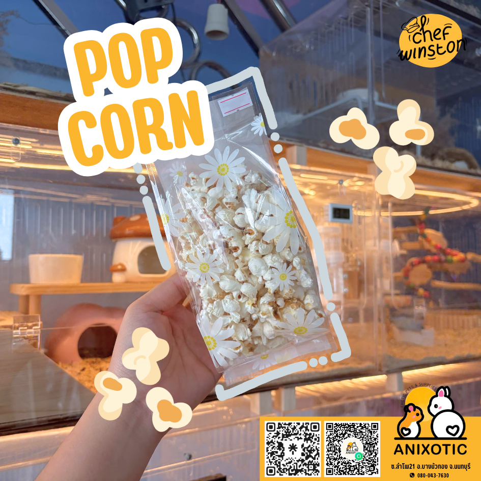 Chef Winston [Pop Corn] ป๊อปคอร์น ข้าวโพดคั่ว แฮมสเตอร์