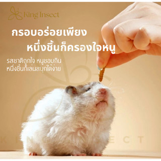 King Insect  BSF หนอนแมลงวันลาย อบแห้ง  สำหรับสัตว์เลี้ยง ชู…