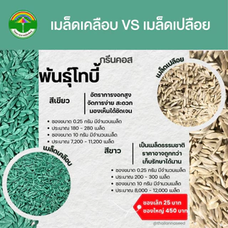 เมล็ดพันธุ์ผักสลัด กรีนคอส พันธุ์โทบี้ ( ขนาด 0.25 กรัม ) ( เมล็ดเคลือบ ) รหัสสินค้า SSC 1018