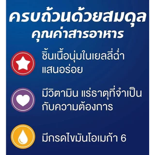 FELIX เฟลิกซ์ อาหารแมวแบบเปียก ทุกรสชาติสำหรับแมวทุกตัว 1โหล (12x85g)
