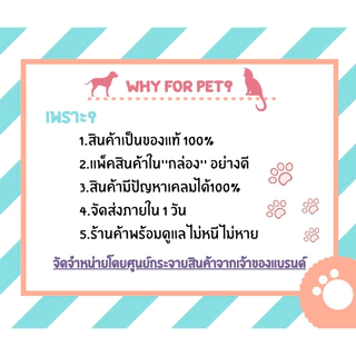 FELIX เฟลิกซ์ อาหารแมวแบบเปียก ทุกรสชาติสำหรับแมวทุกตัว 1โหล (12x85g)