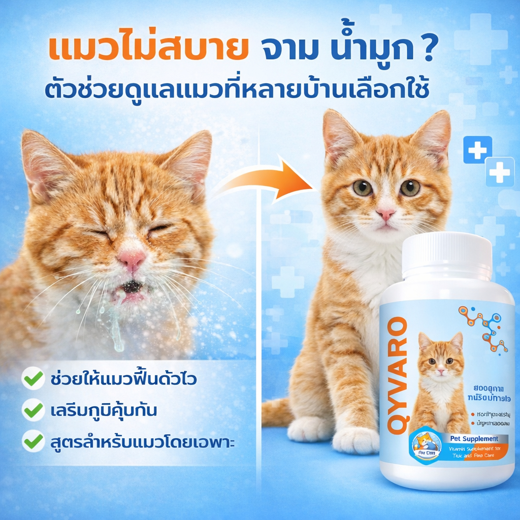 QYVARO อาหารเสริมแมว ดูแลแมวไม่สบาย หวัดแมว จาม น้ำมูกไหล เสริมภูมิแมว บำรุงทางเดินหายใจ