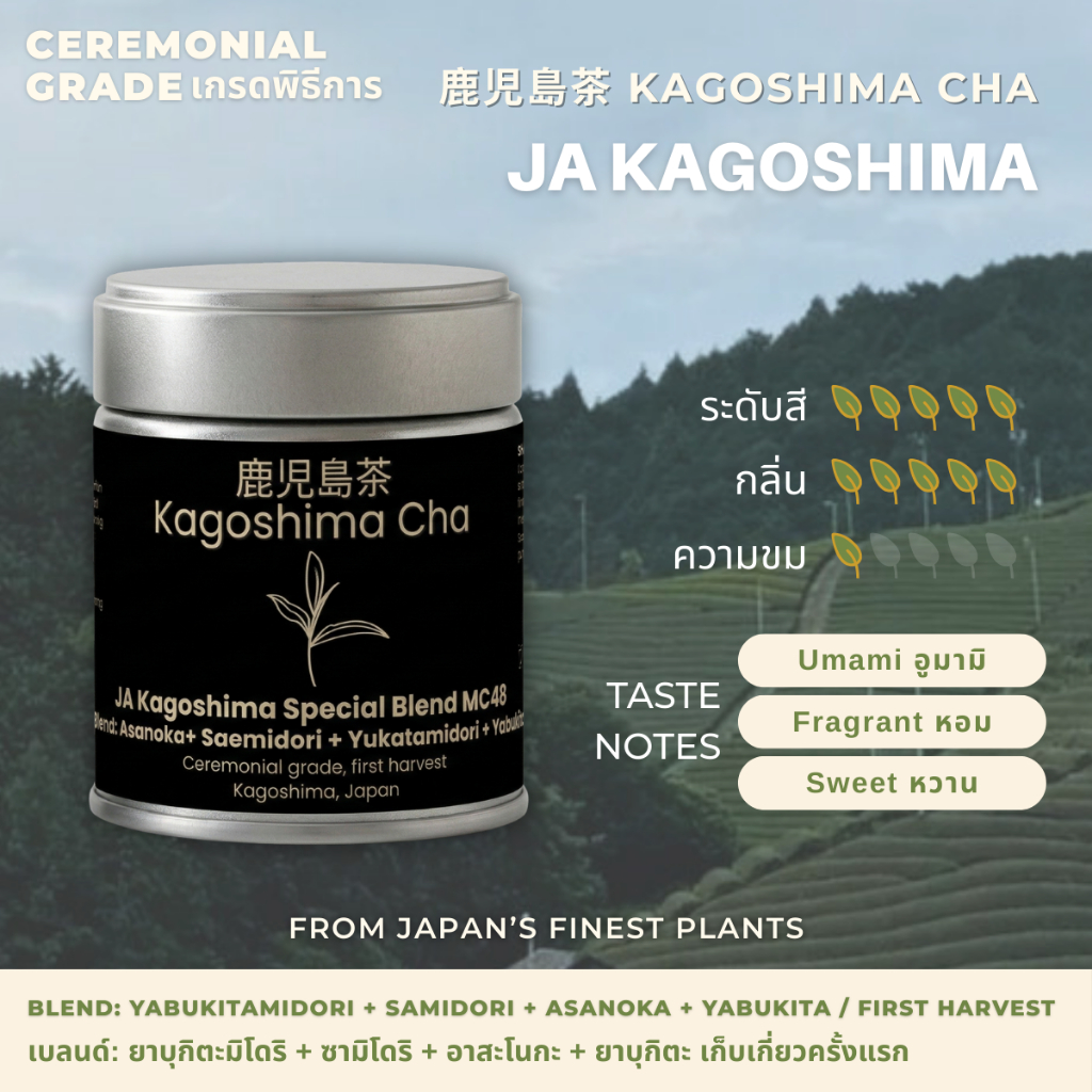 Matcha Ja Kagoshima [Ceremonial Grade] ผงมัทฉะญี่ปุ่น เกรดพิธีการ 30 / 100g