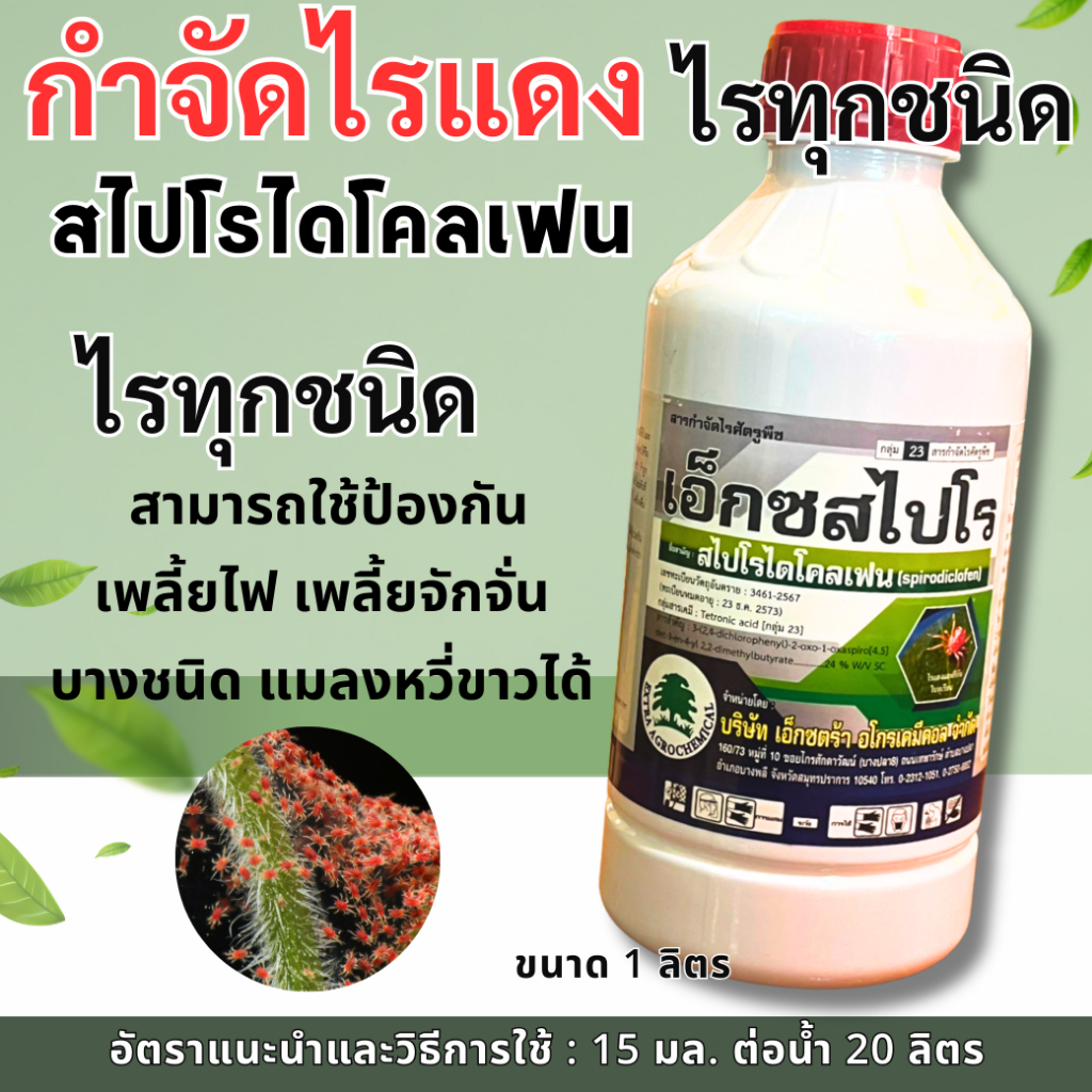 เอ็กซสไปโร 1ลิตร สไปโรไดโคลเฟน สารกำจัดไรแดง ไรขาว ไรแมลงมุม อีเรบัส สไปรอน กลุ่มเดียวกับ โอเบรอน ไรแดง ไรขาว ไรทุกชนิด