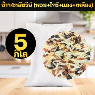 [4 King] ข้าว 4 กษัตริย์ ข้าวกล้อง ไรซ์เบอร์รี่ ข้าวหอม ข้าวแดง ขนาด 5 กิโล ข้าวหอมนุ่มเพื่อสุขภาพ