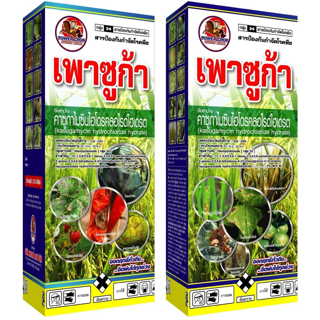 ยกลัง เพาซูก้า 12ขวด คาซูกาไมซิน ป้องกันกำจัดเชื้อรา แบคทีเรีย ใบไหม้ ไหม้คอรวง ใบจุด ใบขีด ขอบใบแห้ง