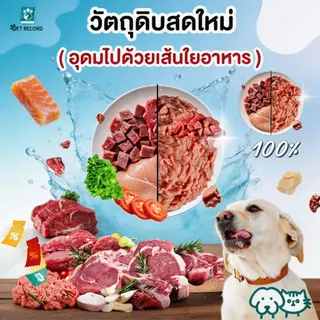 🔥 PET Record อาหารสุนัขเปียก กระป๋อง 430ก อาหารสุนัข โภชนาการสมดุล สุขภาพดี ย่อยง่าย 🐶✨