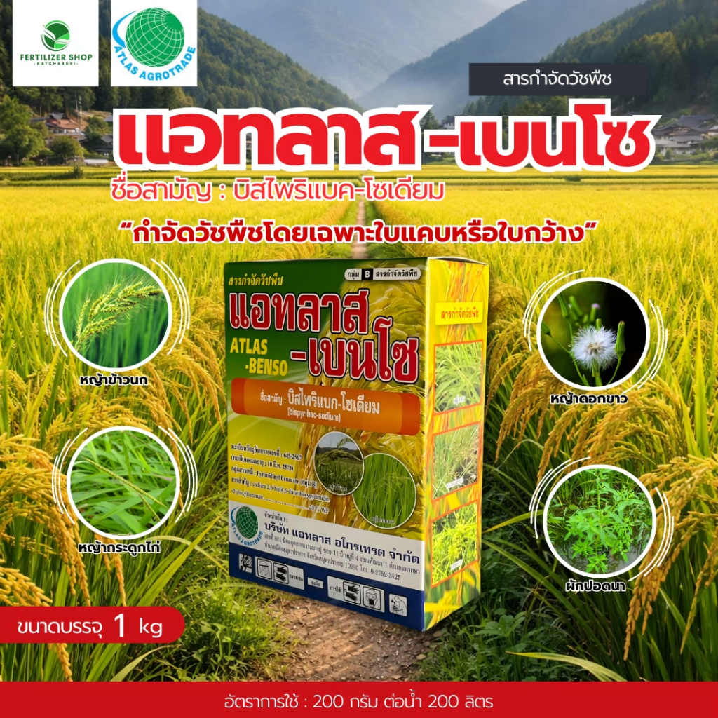 แอทลาส-เบนโซ (ขนาด 100g) บิสไพริแบก-โซเดียม กำจัดวัชพืชใบแคบในนาข้าว  แอทลาส