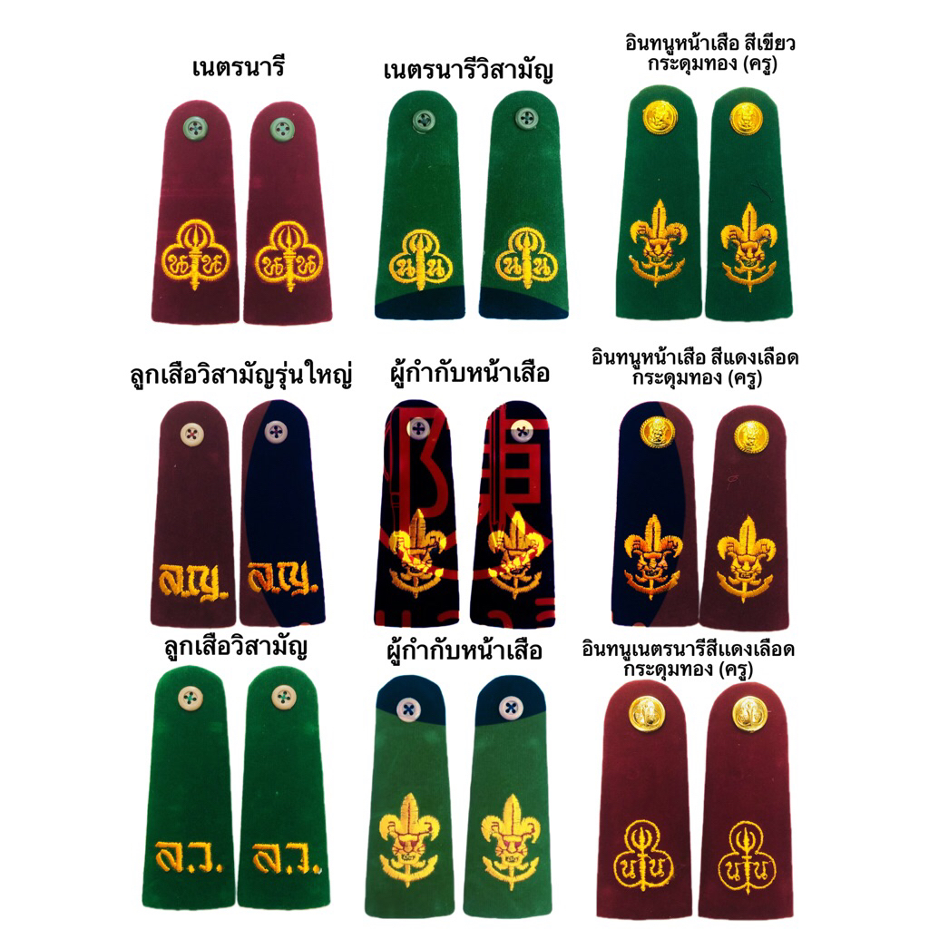 อินธนู ลูกเสือ เนตรนารี สามัญรุ่นใหญ่ วิสามัญ ผู้กำกับ