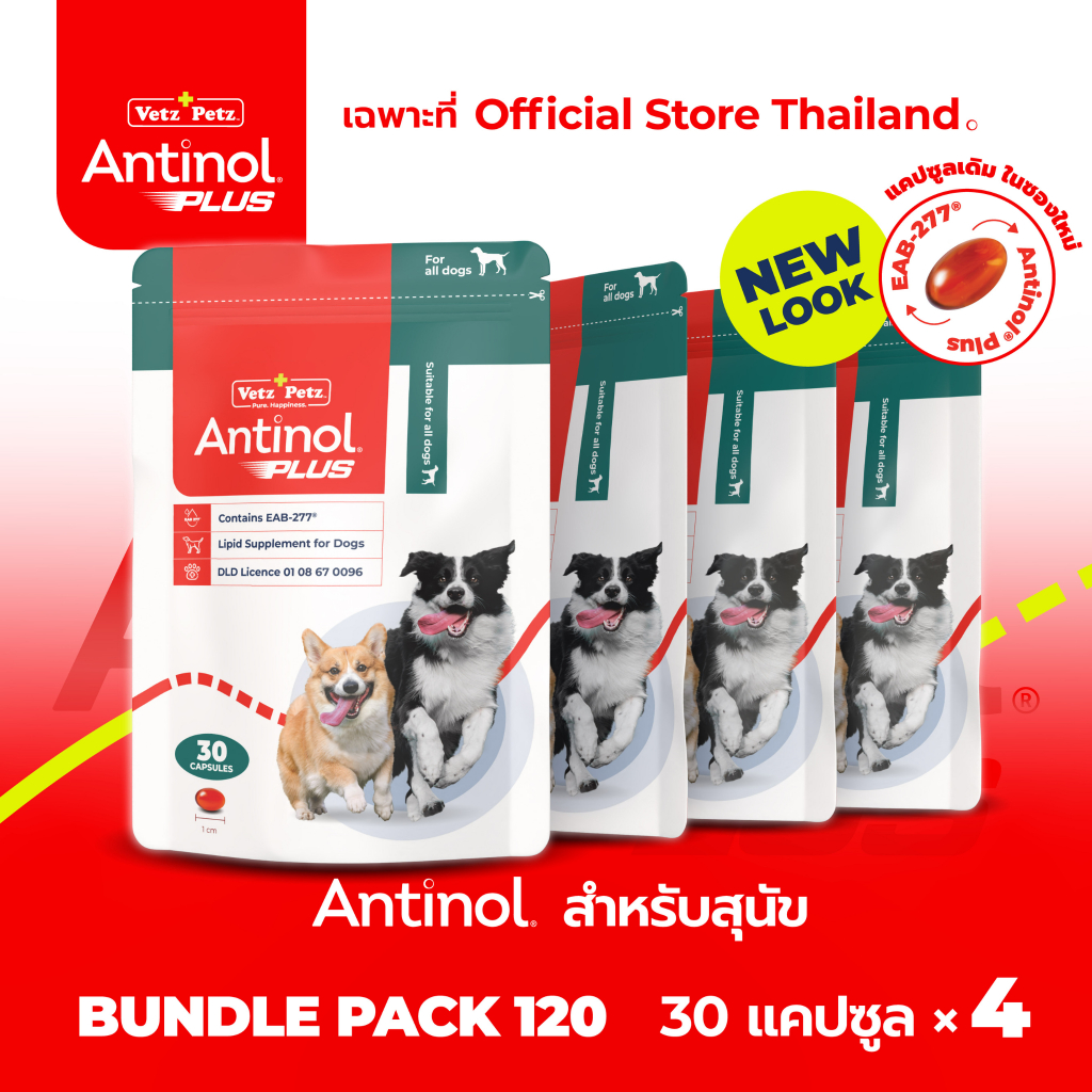 [Official Store] แอนทินอล Antinol® EAB 277™ Bundle Pack 120 แคปซูล