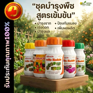 [ออร์คิด] กำจัด ทุกปัญหาสำหรับพืช รักษาโรค ป้องกันแมลง กำจัดแมลง บำรุงต้น บำรุงราก เร่งดอก บำรุงผล ออร์คิดโกลเด้น 250cc.