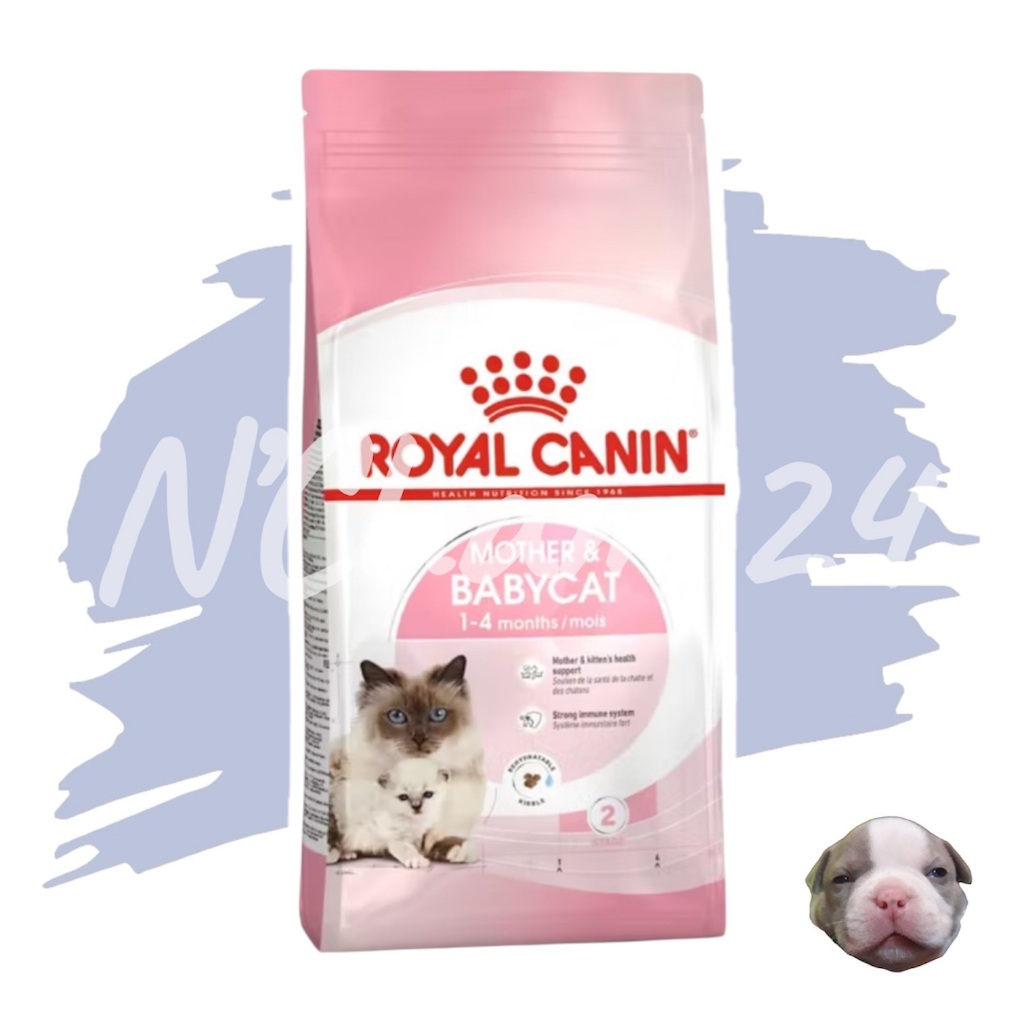 Royal Canin Mother& Babycat ขนาด 400g และ 2 kg สำหรับลูกแมวตั้งแต่อย่านม -4เดือน แม่ตั้งท้องให้นมลูก