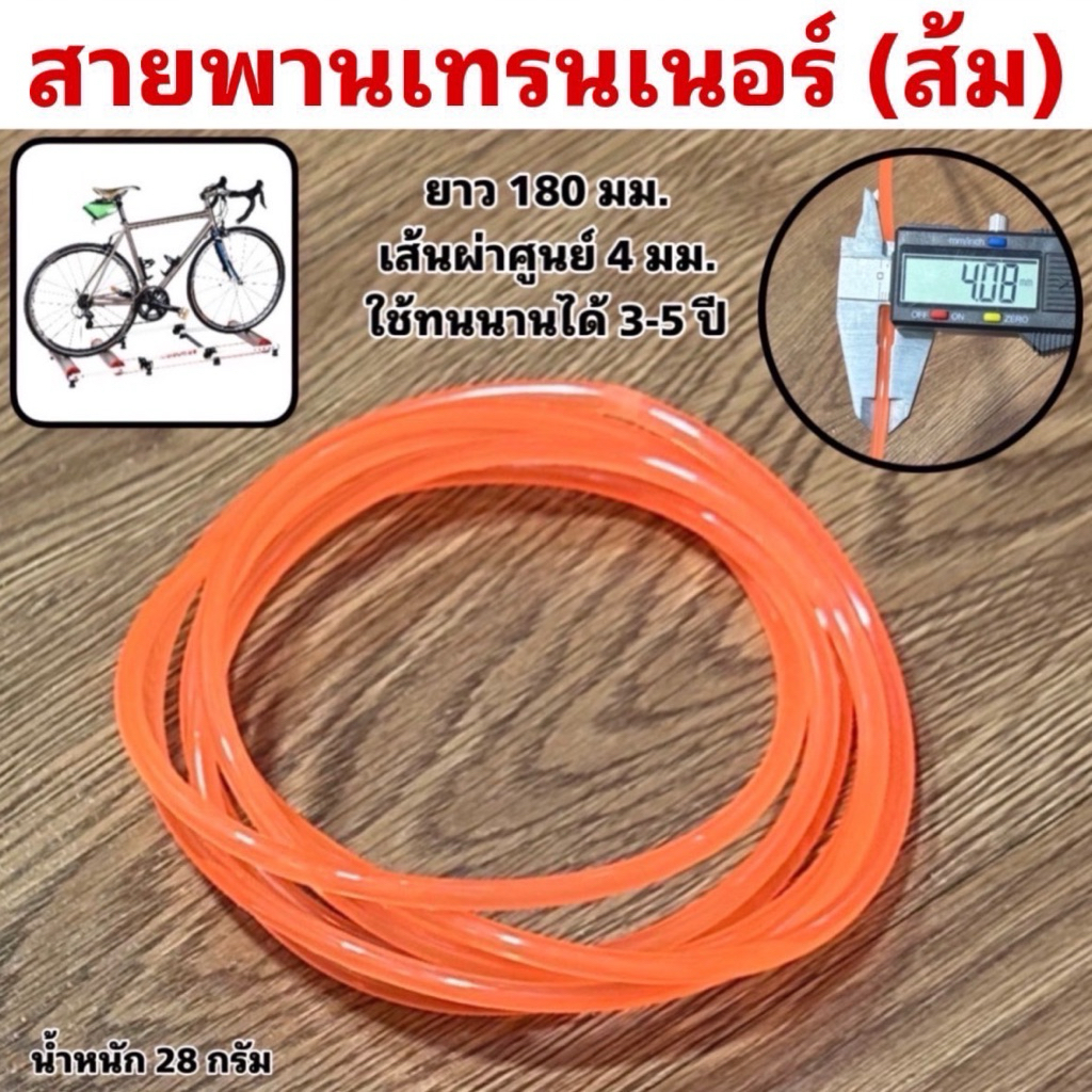 สายพานเทรนเนอร์ (ส้ม)