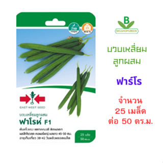 เมล็ดพันธุ์ บวบเหลี่ยมลูกผสม ฟาโรห์ F1 ศรแดง จำนวน 25 เมล็ด …