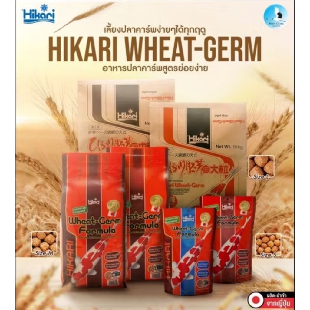 Hikari Wheat-Germ 5-15 kg. เม็ดลอย เม็ดจม M,L