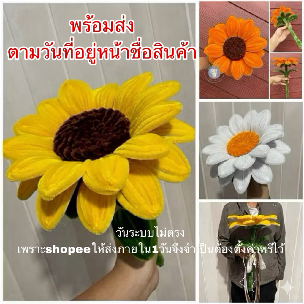 ดอกทานตะวันยักษ์กำมะหยี่🌼โบว์การ์ดฟรี🌼