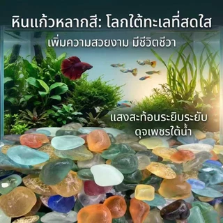 หินตกแต่งตู้ปลาสีสัน หลากสีสัน ขนาด 1 kg สำหรับตกแต่งสวน ตู้ปลา และกระถางต้นไม้ ของตกแต่งบ้าน
