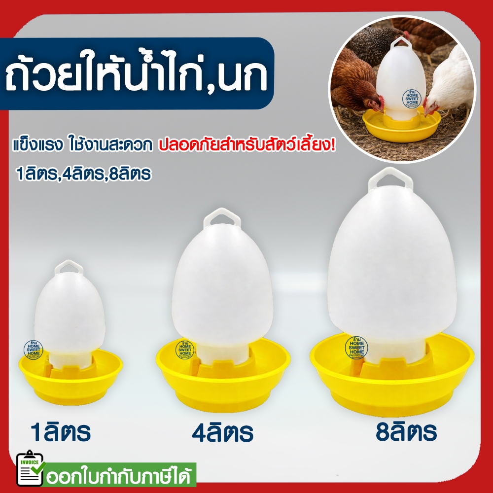 *ค่าส่งถูก* ขวดน้ำไก่ ถังน้ำไก่ ที่ใส่น้ำสำหรับเลี้ยงไก่ กระติกน้ำไก่ เลี้ยงไก่ ขวดน้ำนก เลี้ยงนก เหลือง outlet