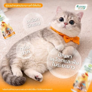 ผลิตภัณฑ์สำหรับปัญหาช่องปาก เหงือก และลิ้น สุนัข แมว - Nature Plus