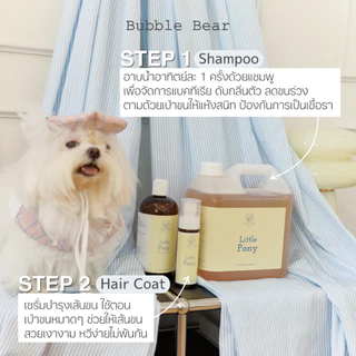 Bubble Bear แชมพูสัตว์เลี้ยง Special Edition (แบบแกลลอน 3500ml)