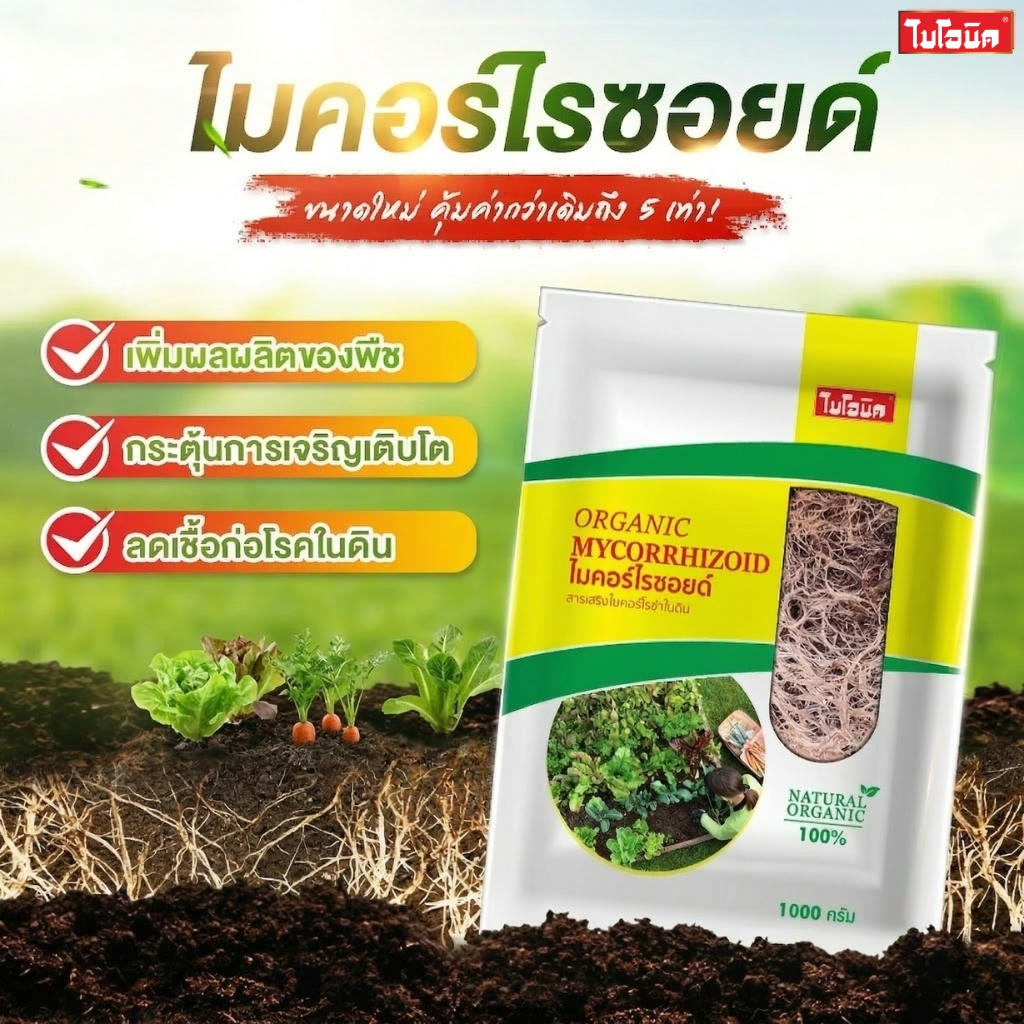 Bionic ไมคอร์ไรซา 1000กรัม* เร่งราก เพิ่มความแข็งแรงราก พืชโตไว เร่งผล ป้องกันโรคพืช ไบโอนิค เชื้อราไมคอร์ไรซา