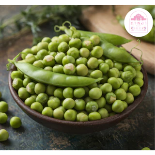เมล็ดพันธุ์ถั่วลันเตา 10 เมล็ด
