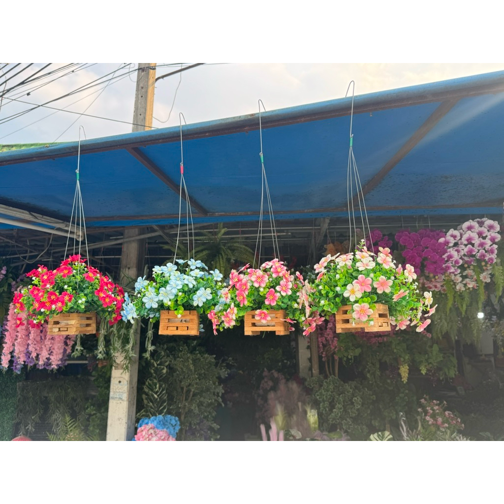 กระเช้าผีเสื้อ (สีเพิ่ม)