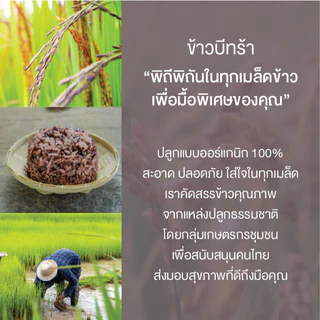 เซตสุขภาพดี ไม่อ่อนล้า ข้าวสังข์หยด + ข้าวเบายอดม่วง ปลอดสาร ข้าวเพื่อสุขภาพ เกรดพรีเมี่ยม - แบรนด์บีทร้า