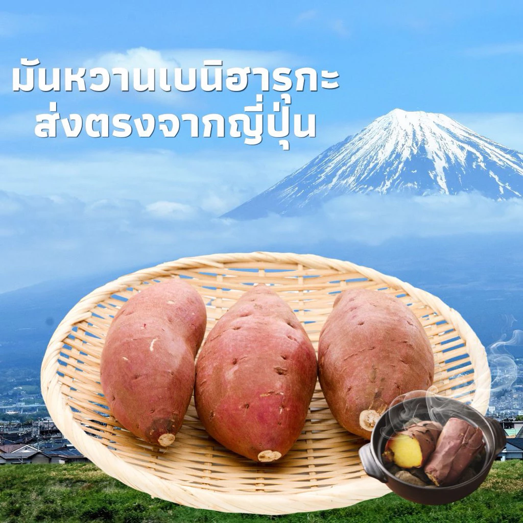 มันหวานญี่ปุ่นเบนิฮารุกะ แบบดิบ คละไซส์ นำเข้าจากญี่ปุ่น🇯🇵