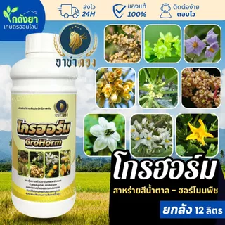 โกรฮอร์ม 1ลิตร ตรา อาชาทอง ฮอร์โมน บำรุงดอก เปิดตาดอก แปลงเพศ ผสมเทียม