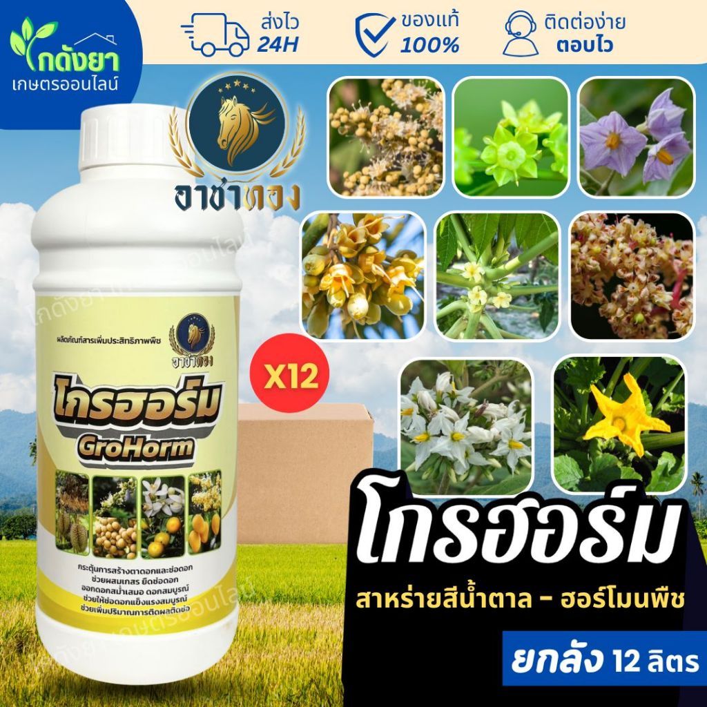 โกรฮอร์ม 1ลิตร (ยกลัง) ตรา อาชาทอง ฮอร์โมน บำรุงดอก เปิดตาดอก แปลงเพศ ผสมเทียม
