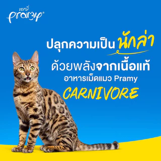 (2ถุง) Pramy Carnivore พรามี่ อาหารเม็ดแมว 0.8-1kg