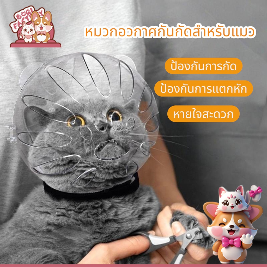 Boqi Factory ที่คลุมหัวแมวสัตว์เลี้ยงที่แข็งแรงระบายอากาศได้  หมวกนิรภัยลูกแมวป้องกันการกัด Cutehead