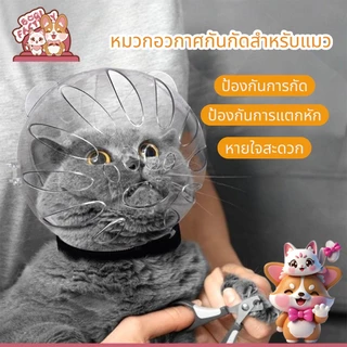 Boqi Factory ที่คลุมหัวแมวสัตว์เลี้ยงที่แข็งแรงระบายอากาศได้  หมวกนิรภัยลูกแมวป้องกันการกัด Cutehead