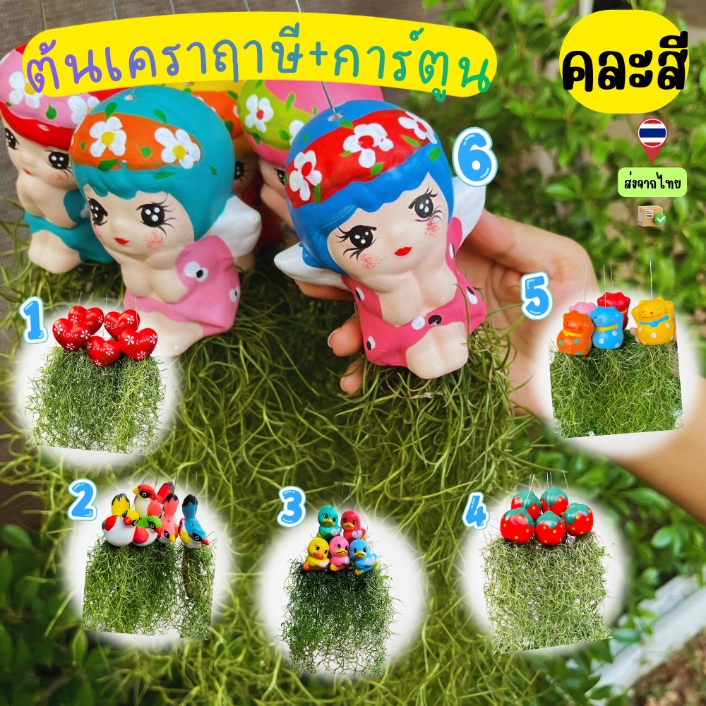 ต้นเคราฤาษี + ตัวการ์ตูนน่ารัก ชุด1-3-5 พวง พร้อมลวดแขวน ไม้ฟอกอากาศ ตกแต่งบ้านและสวน แลดูสดชื่น