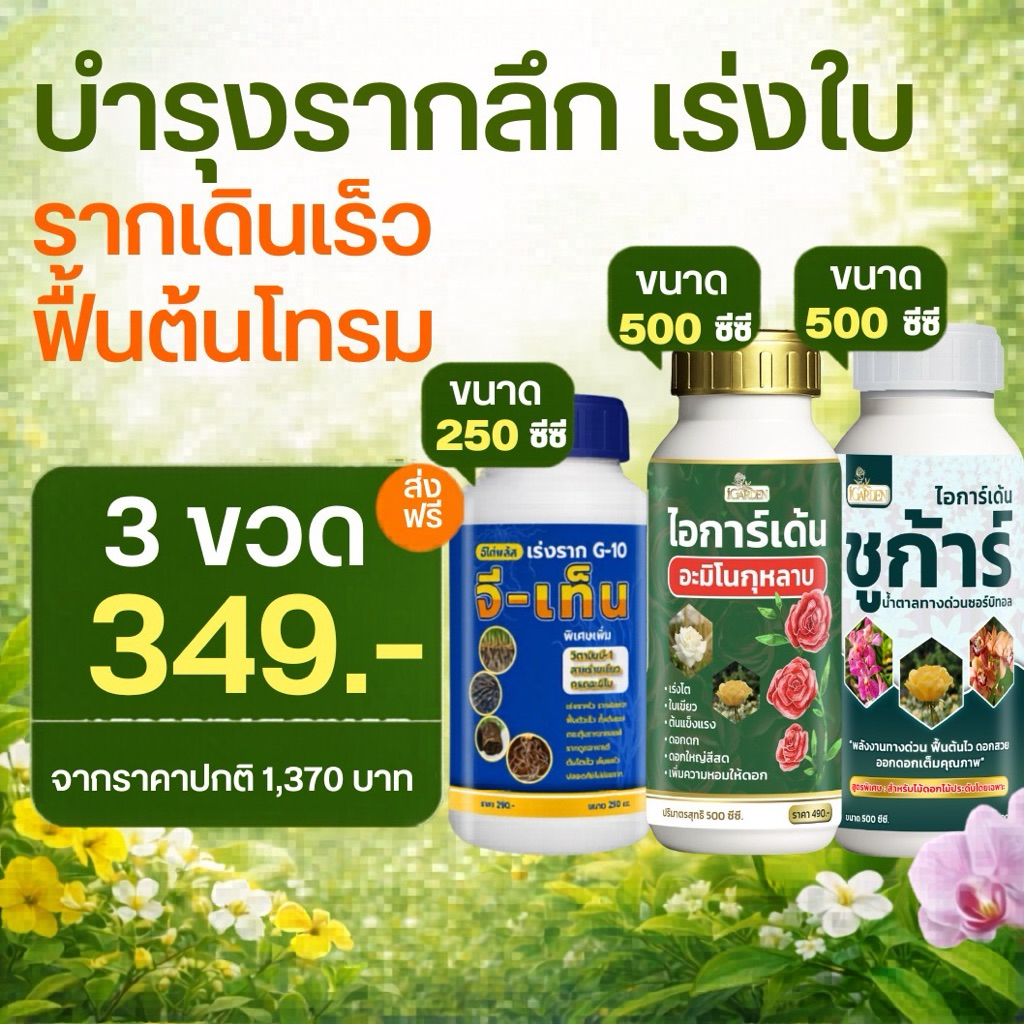 ชุดบำรุงรากให้แข็งแรง ต้นแน่น แตกยอดดี ไอการ์เด้น ชุดเซ็ท Own Root ชุด3 ขวด