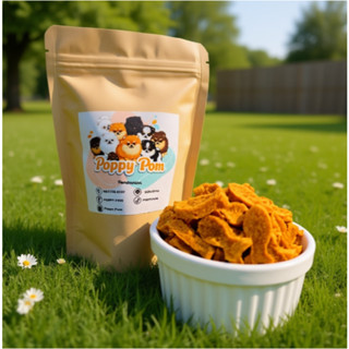 ขนมสำหรับสุนัข แมว คุกกี้เนื้อปลาแซลมอนอบแห้ง100% โฮมเมด ไม่…