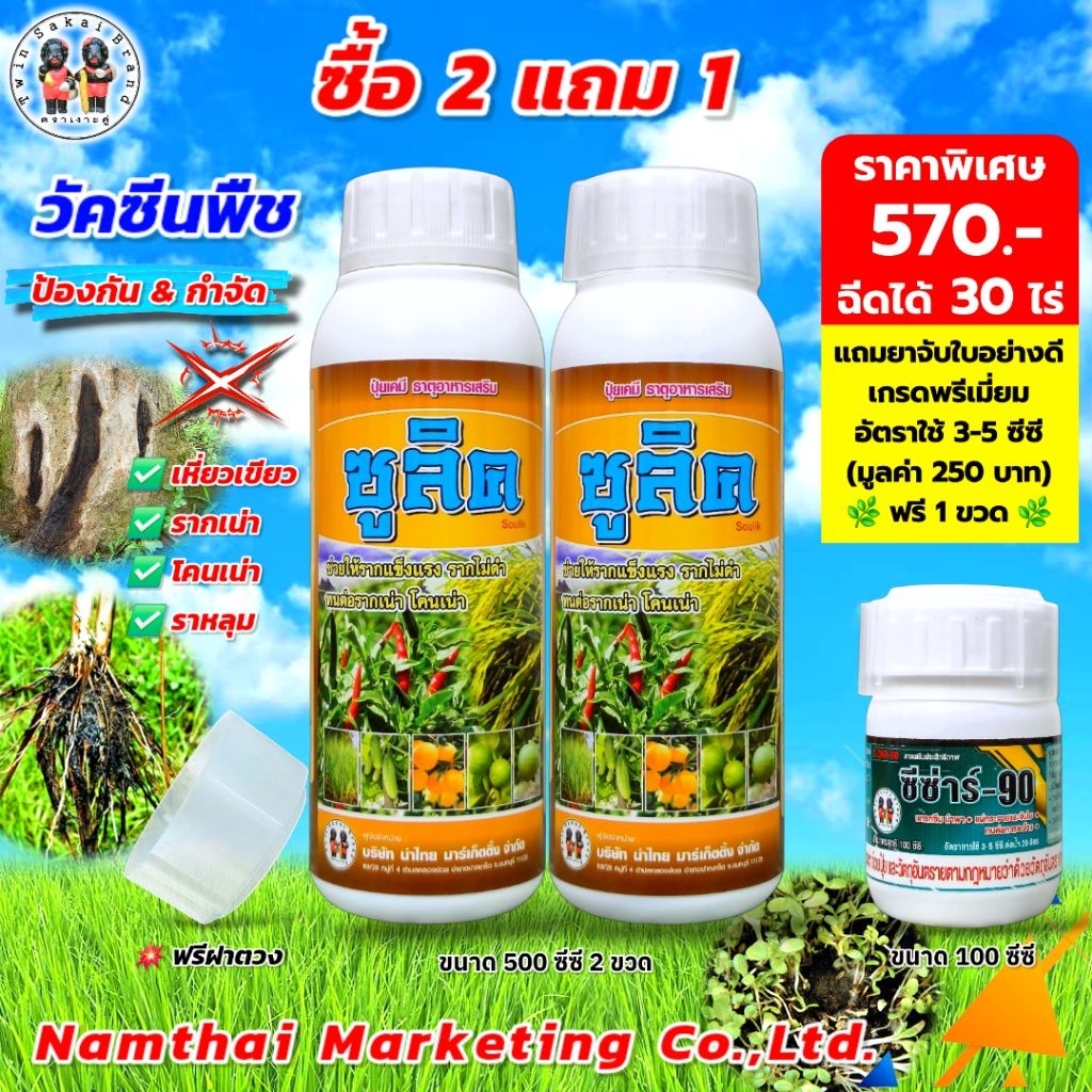 ตราเงาะคู่ ซูลิค ป้องกัน รากเน่า โคนเน่า เน่าคอดิน เหี่ยวเขียว รากดำ [2 แถม 1]