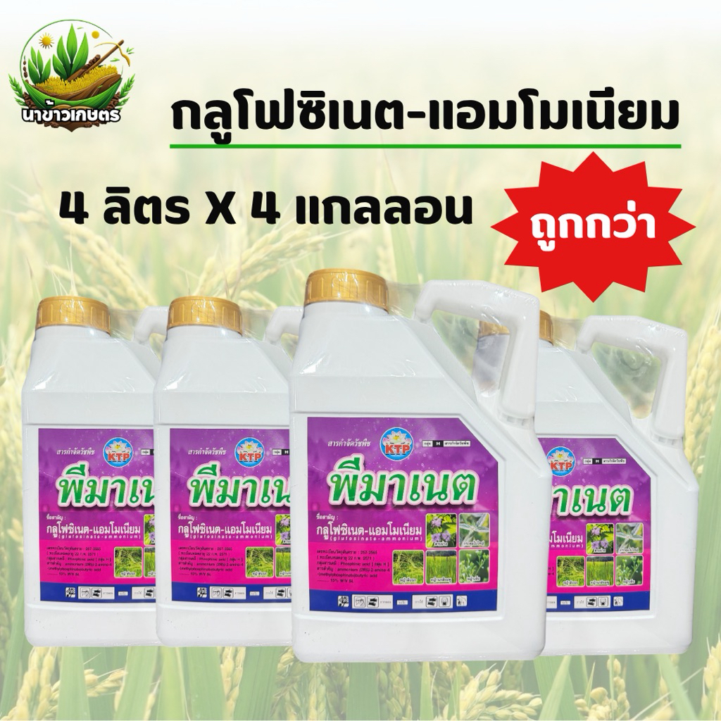 พีมาเนต กลูโฟซิเนต-แอมโมเนียม 4ลิตร x 4แกลลอน  กำจัดวัชพืชประเภทใบแคบ เเละวัชพืชประเภทใบกว้าง