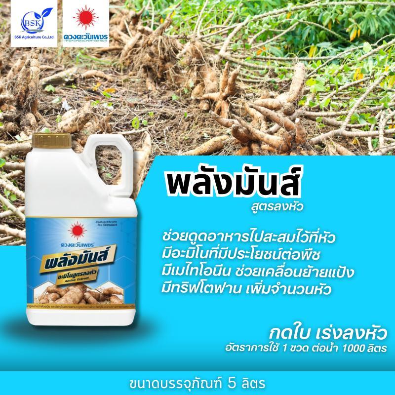 พลังมันสูตรลงหัว แกลลอน 5 L (ดวงตะวันเพชร) #BSK