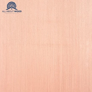 PLYWOOD DOOR ประตูไม้อัดยาง ไส้ MDF สำหรับใช้งานภายใน มีให้เลือก 6 ขนาด | All About Wood